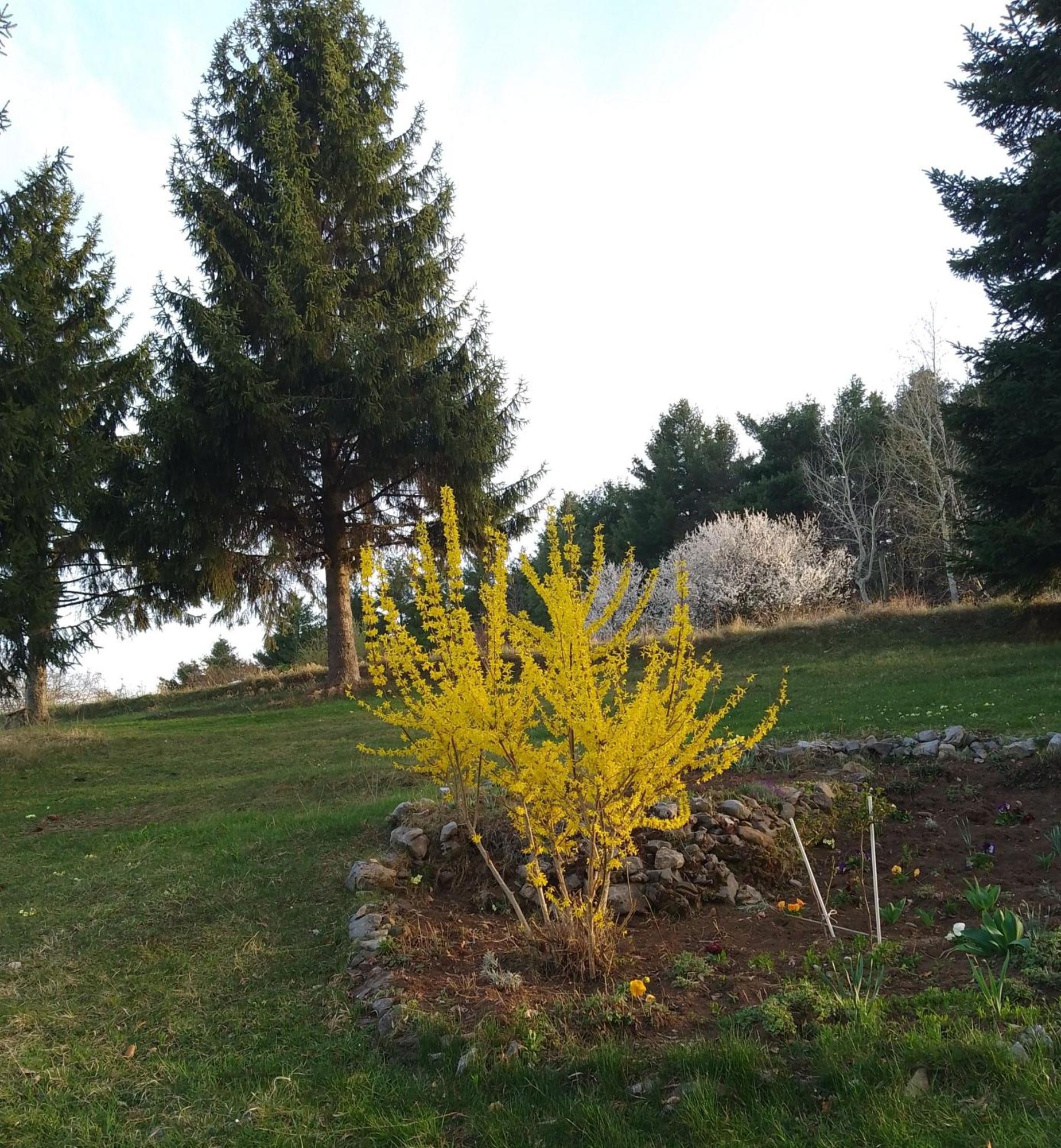 Apartmani Planinska Kuca, Jagodnja Krupanj المظهر الخارجي الصورة